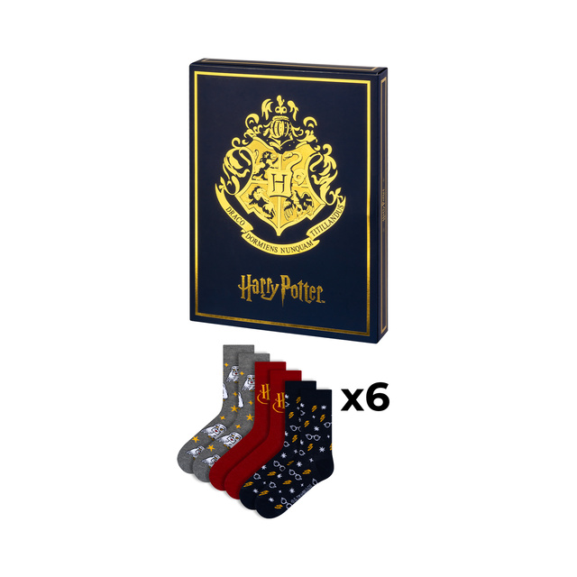Zestaw Prezentowy ze Skarpetkami Harry Potter 6-pak