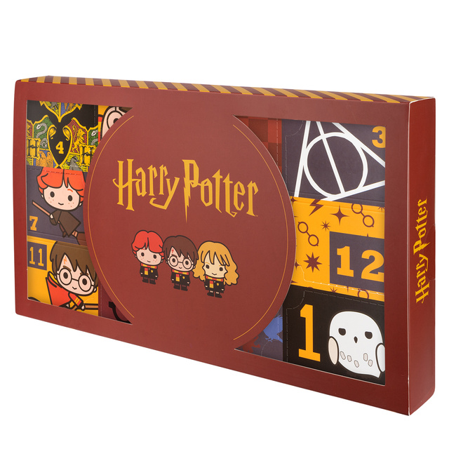 Kalendarz Adwentowy ze Skarpetkami Harry Potter 6-pak